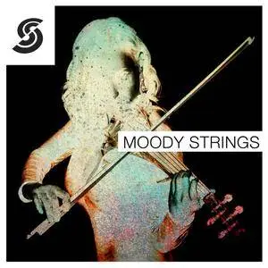 Samplephonics Moody Strings WAV