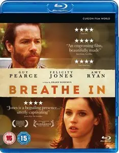 Breathe In (2013)