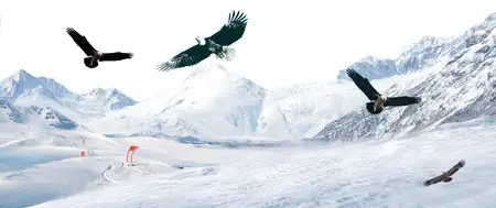 Eagle