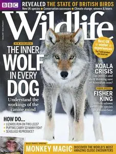 BBC Wildlife Magazine – January 2014