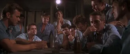 Cool Hand Luke (1967)