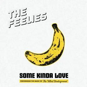 The Feelies - Some Kinda Love: Performing The Music Of The Velvet Underground (2023) [Official Digital Download]