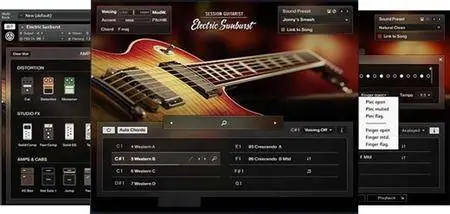 Native Instruments Session Guitarist Electric Sunburst KONTAKT