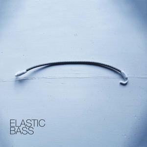 David Hilowitz Elastic Bass [Patreon Exclusive] [Decent Sampler] KONTAKT