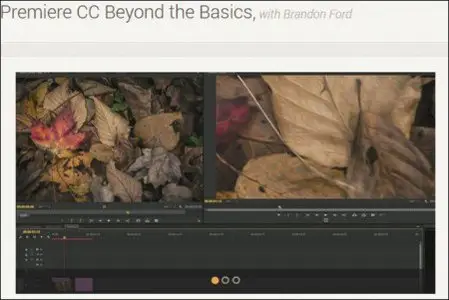 Premiere CC Beyond the Basics with Brandon Ford
