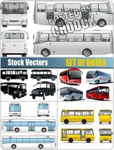 Set of buses - Stock Vector