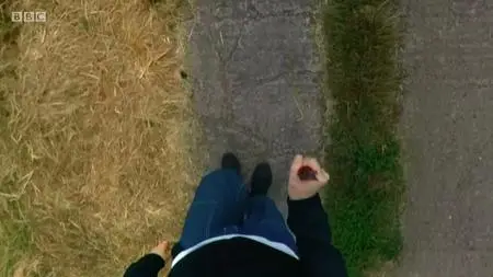 BBC - Walking With... Series 1 (2021)