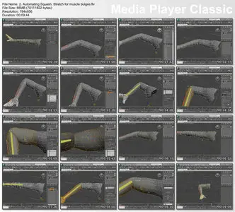 Exploring Animation Principles in 3ds Max 2011: Squash and Stretch (Digital Tutors)