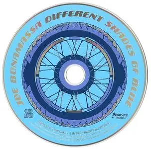 Joe Bonamassa - Different Shades Of Blue (2014)