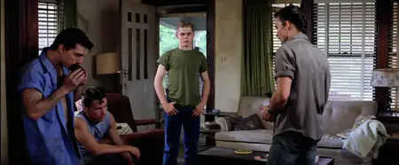 The Outsiders (1983)