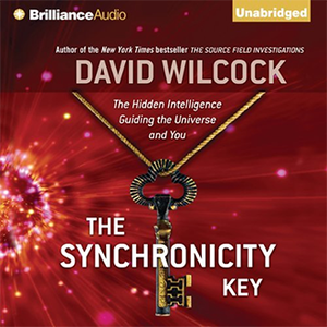 The Synchronicity Key: SYNCHRONICITY KEY - Synchronicity by David Wilcock