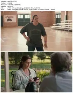 The Hot Flashes (2013)