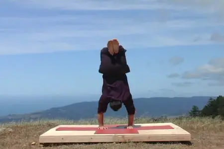 Pranamaya - Introduction to Universal Yoga with Andrey Lappa (2005)