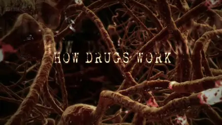 BBC - How Drugs Work S01E03: Cocaine (2011)