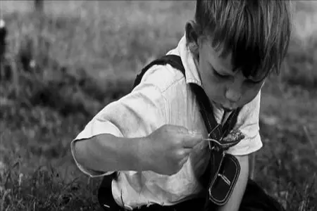 The American Future (2008)