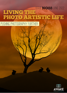 Living The Photo Artistic Life - June 2022