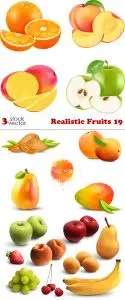 Vectors - Realistic Fruits 19