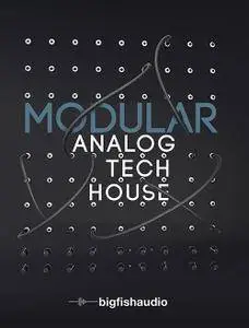 Big Fish Audio Modular Analog Tech House MULTiFORMAT