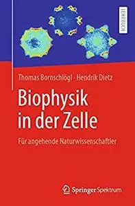 Biophysik in der Zelle: Für angehende Naturwissenschaftler