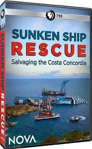 PBS Nova - Sunken Ship Rescue (2015)