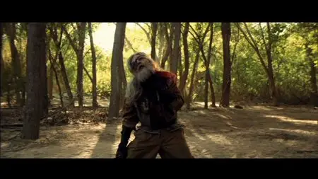 Samurai Avenger: The Blind Wolf (2009)