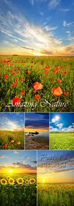 Stock Photo - Amazing Nature 01