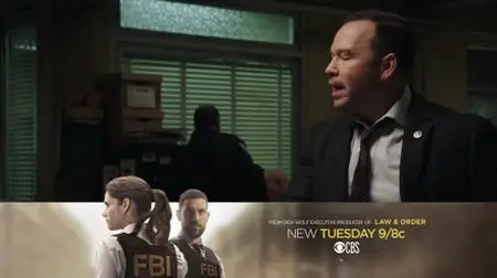 Blue Bloods S09E14