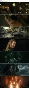 The Hobbit: The Desolation of Smaug (2013)