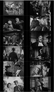 The Magnificent Ambersons (1942) + Extras [The Criterion Collection]