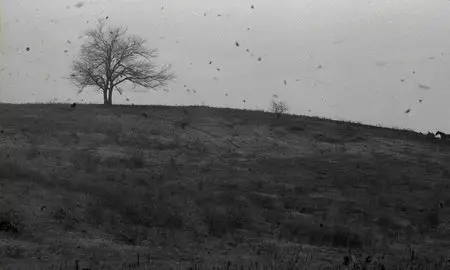 A Torinói ló / The Turin Horse (2011) [Repost]