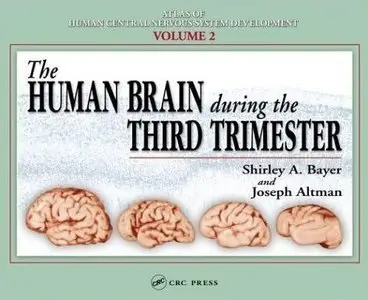 The Human Brain During the Third Trimester (repost)