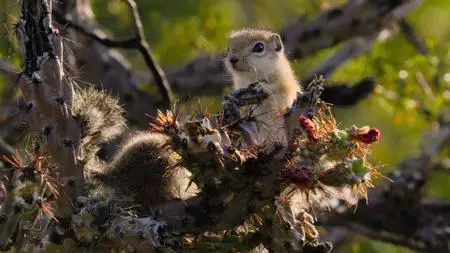 Tiny World S02E02