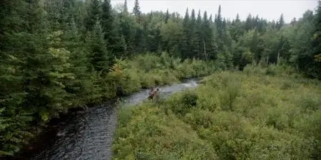 Barkskins S01E05
