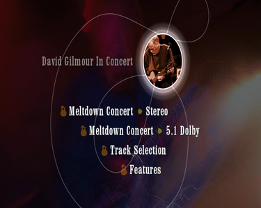 David Gilmour - David Gilmour In Concert (2002)