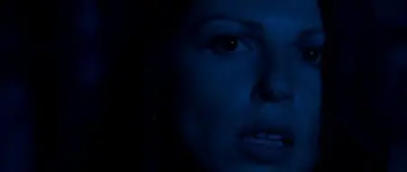 Amer (2009)