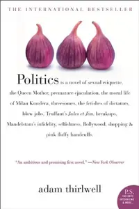 Politics: A Novel