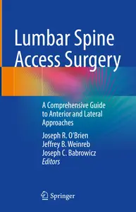 Lumbar Spine Access Surgery: A Comprehensive Guide to Anterior and Lateral Approaches