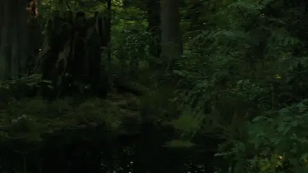 The Last of Us S02E06