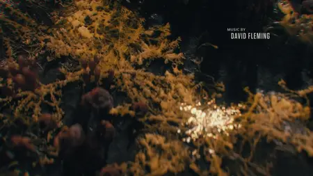 The Last of Us S02E06