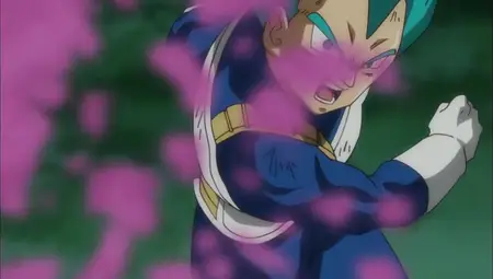 Dragon Ball Super - 065