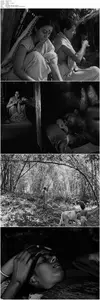 Pather Panchali (1955) [The Criterion Collection]