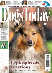 Dogs Today UK - Issue 368 2025