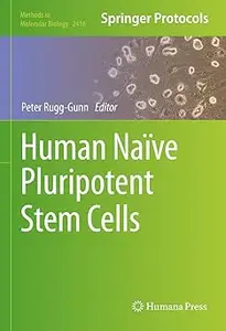 Human Naïve Pluripotent Stem Cells