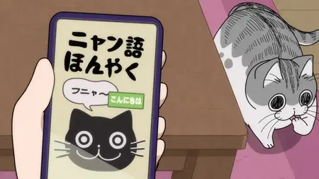 Nights with a Cat - 77