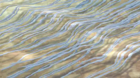 Toriko (2011) - S01E08 The Threat Appears! Rumble at the Gourmet Coliseum! -CDL