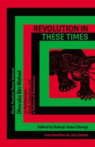 Revolution In These Times: Black Panther Party Veteran Dhoruba Bin Wahad on Antifascism, Black Liberation, and a Culture