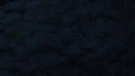 TP BON S02E06 The TP Agents Crime