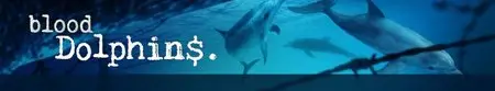 Blood Dolphins - S01E02: The Solomon Islands, Part 1