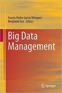 Big Data Management (Repost)