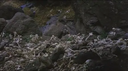 Imamura Shohei - Narayama Bushiko aka The Ballad Of Narayama (1983)